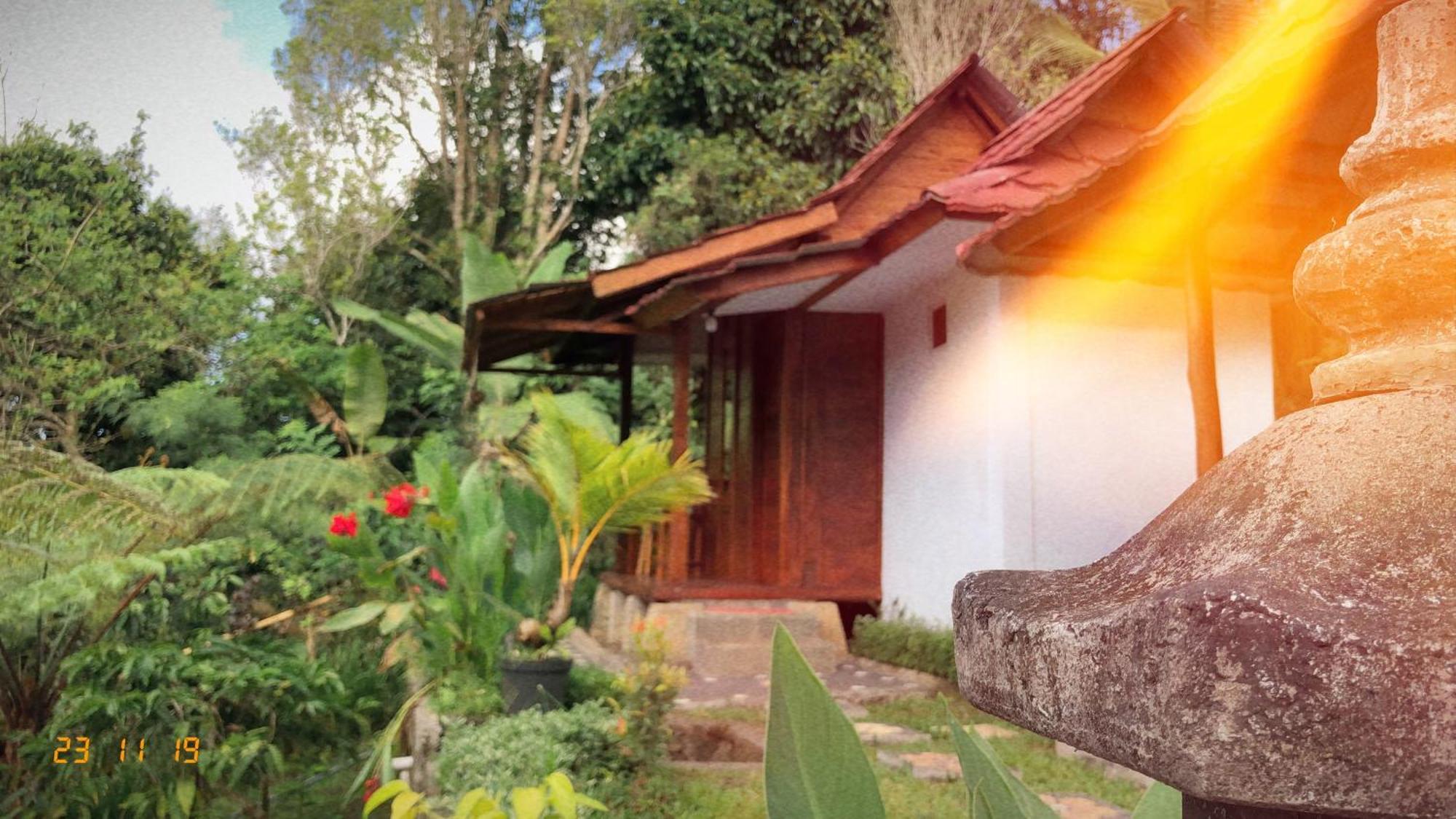 Sedana Yoga Resort Jembrana Extérieur photo
