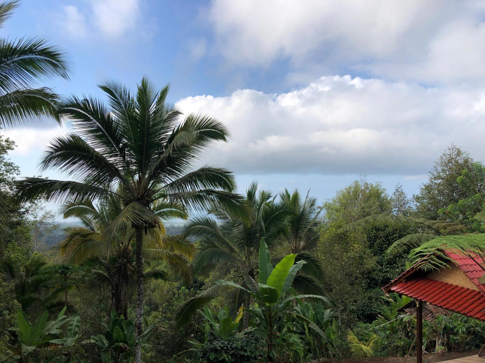 Sedana Yoga Resort Jembrana Extérieur photo