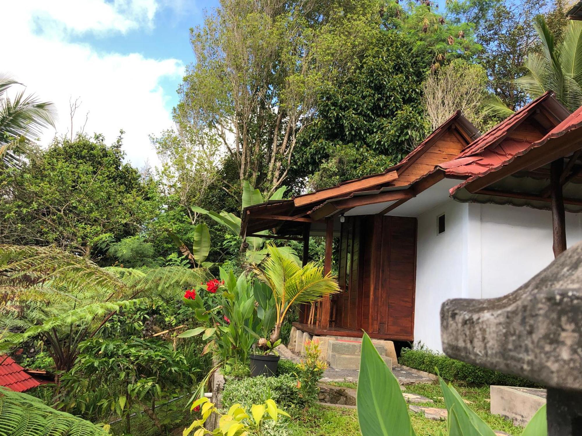 Sedana Yoga Resort Jembrana Extérieur photo